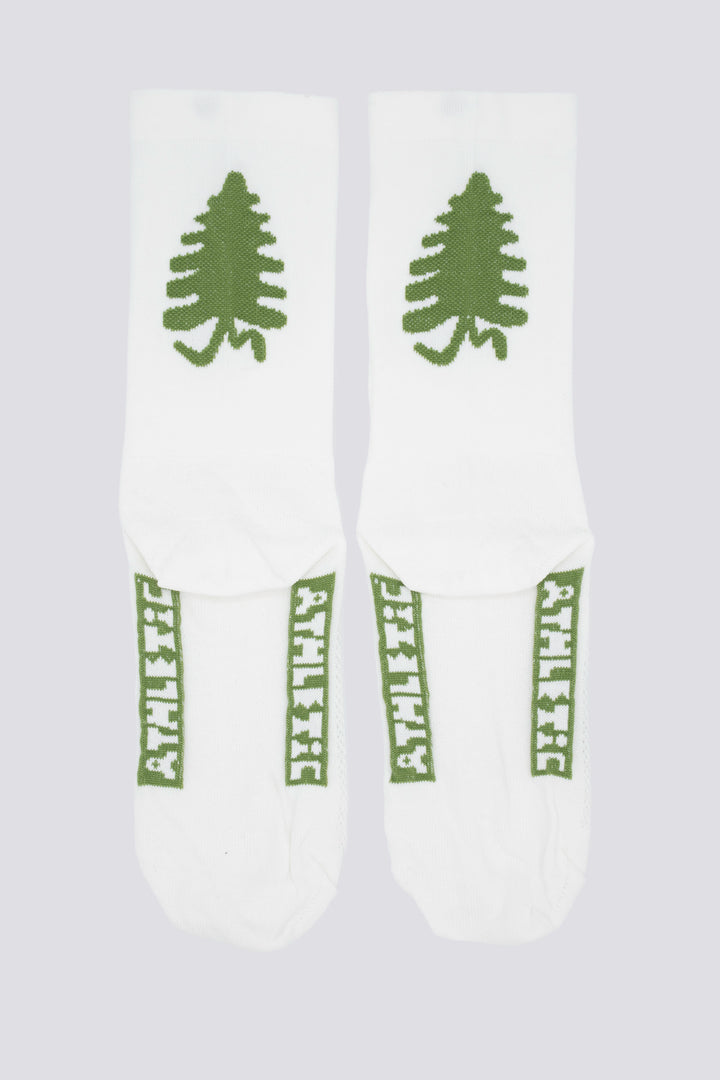 Conifer Cycling Socks