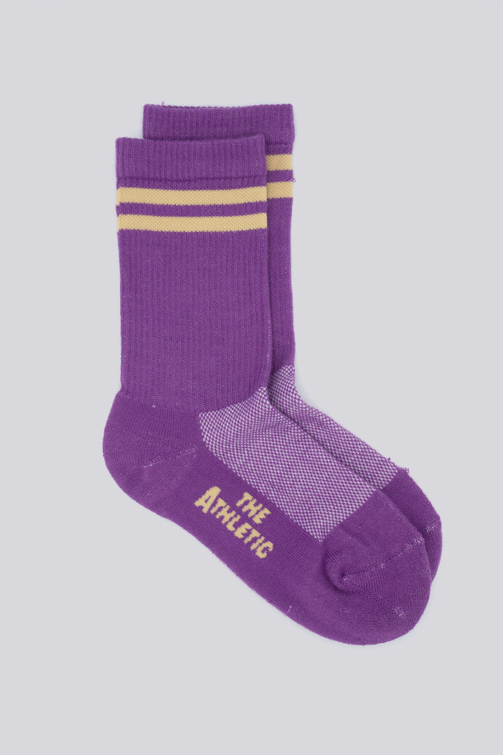 Teacher's Pet Socks