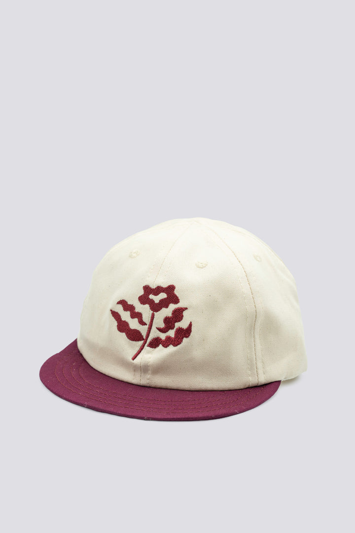 Take Chances Short Bill Hat